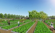 Nhà phố vườn 520 triệu đồng ven sông Nam Sài Gòn hút khách