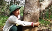 Công ty Long Sơn bị điều tra sau vụ xả súng 3 người chết