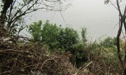 Thi thể bị giấu trong ghềnh đá