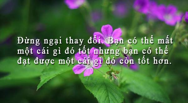  Hạt giống tâm hồn - tập 1 - phần 2