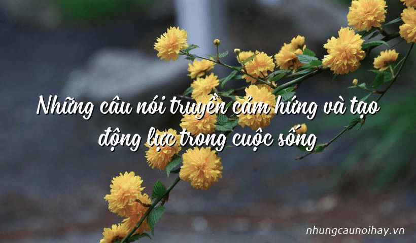  15 CÂU NÓI TRUYỀN ĐỘNG LỰC
